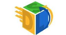 logo dls